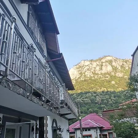 Casa Papava Guest house Baile Herculane